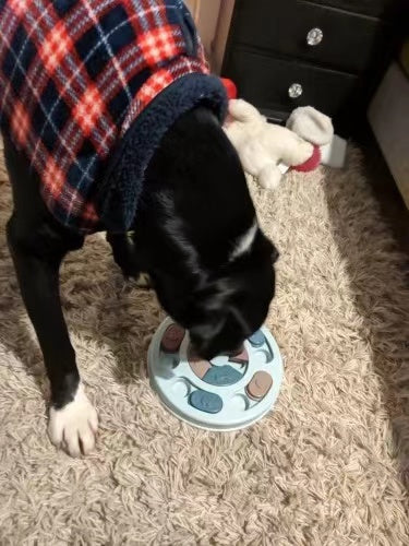 Spundrix IQ Puzzle Treat Toy