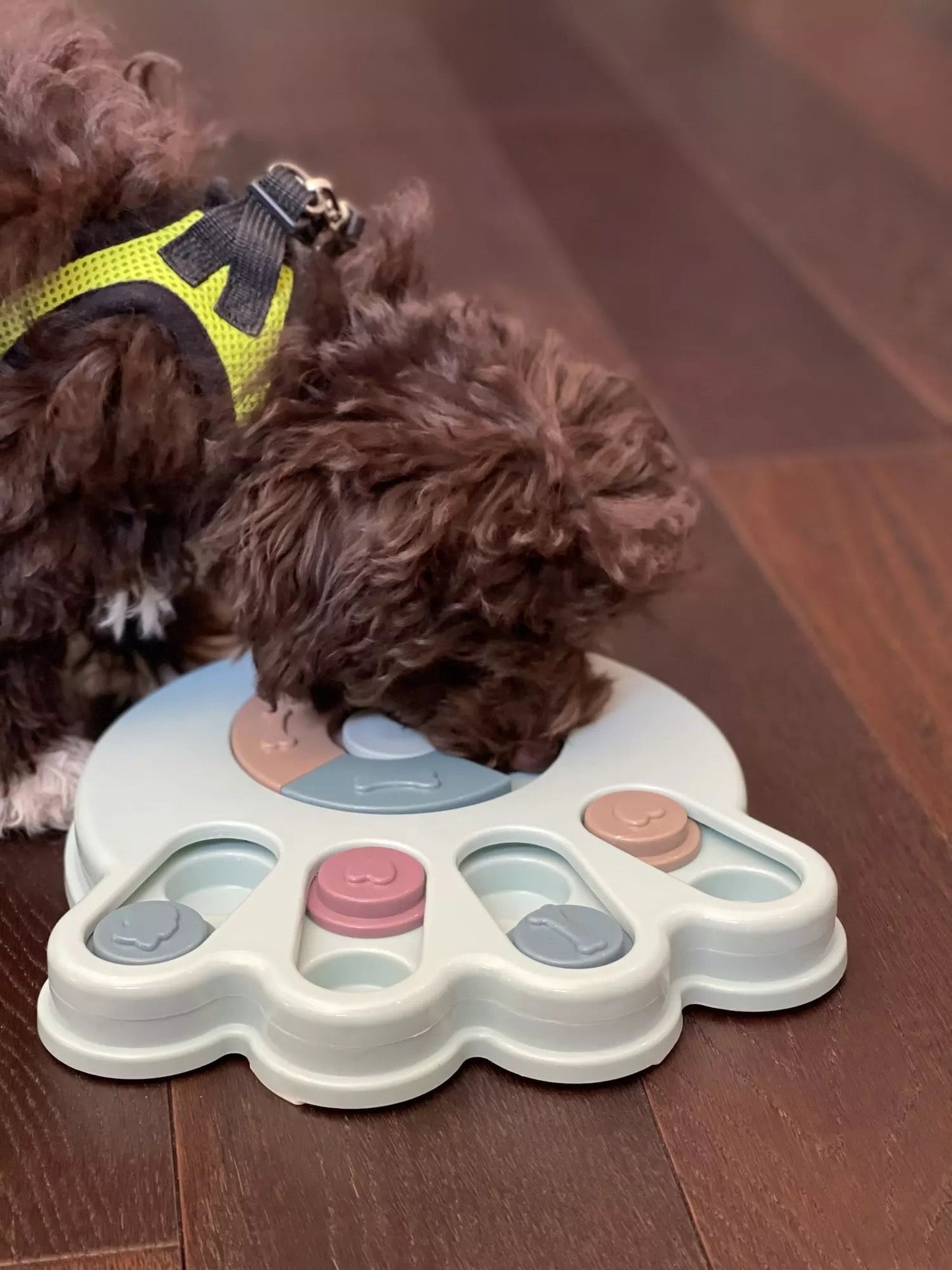 Spundrix IQ Puzzle Treat Toy